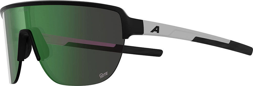 ALPINA picture