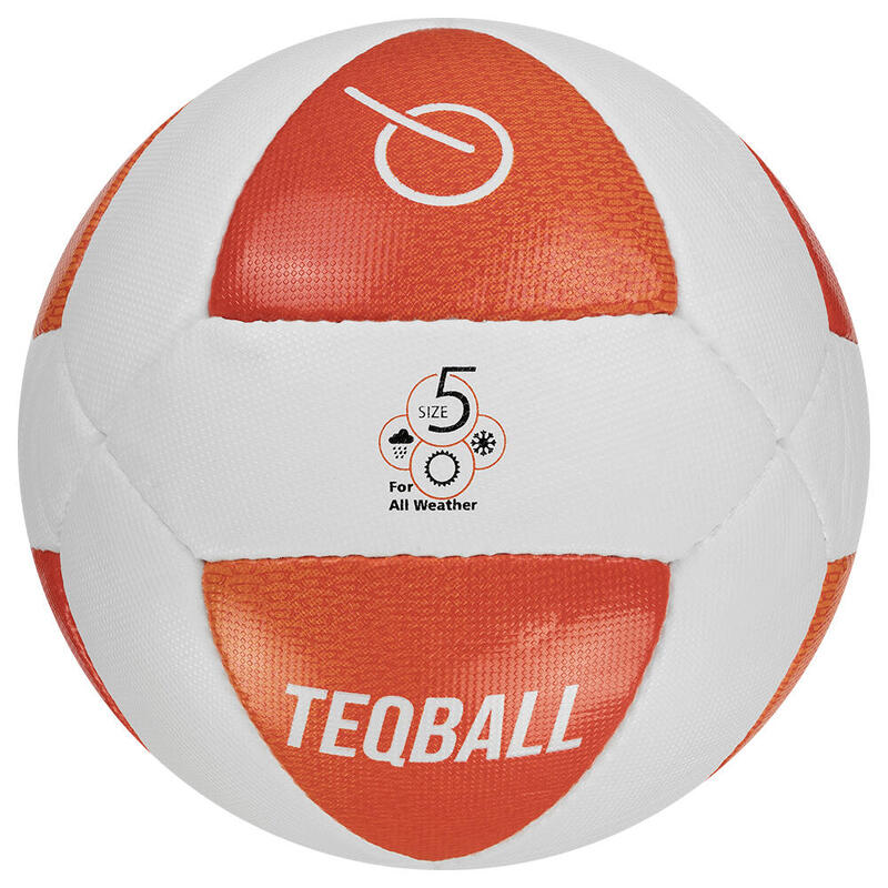 Teq Teqball Topu