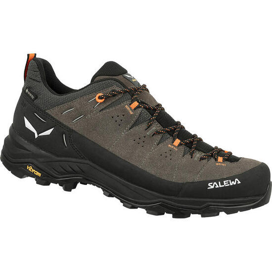 Trail-Schuhe Mann Salewa Alp Trainer 2 Gore-Tex Braun