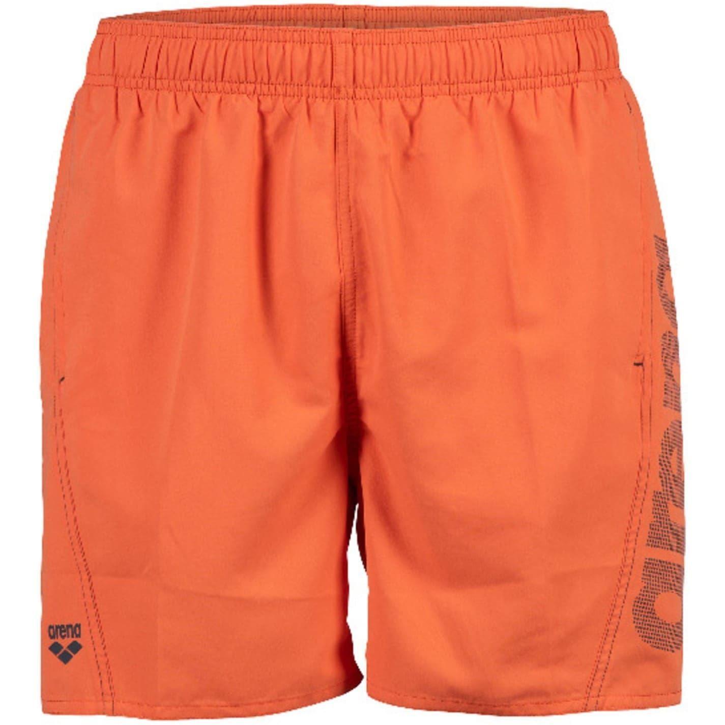 Arena Mens Board Shorts