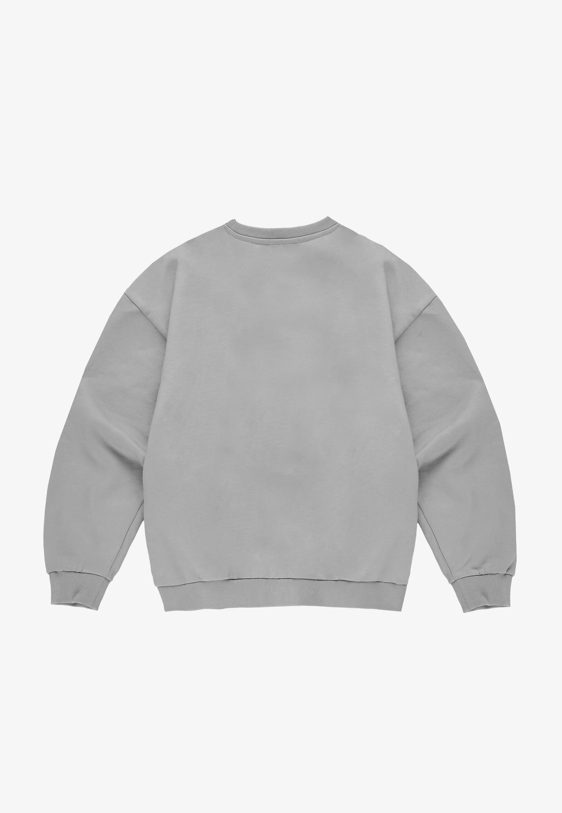 Bluza sportowa męska Prosto Shield Big bez kaptura 5/7