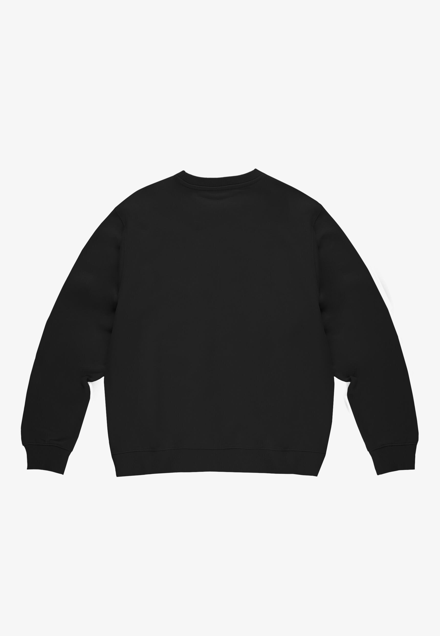 Bluza sportowa męska Prosto Old Logo bez kaptura 5/6