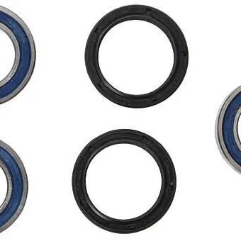 ALL BALLS Racing Wheel Bearing Set 25-140 with Seals.