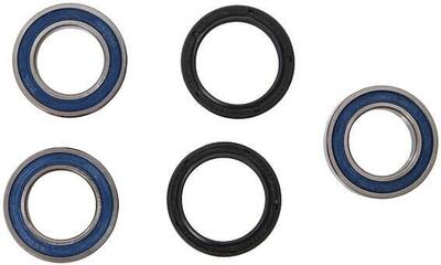 ALL BALLS Racing kit cuscinetti ruota 25-140 con paraoli.