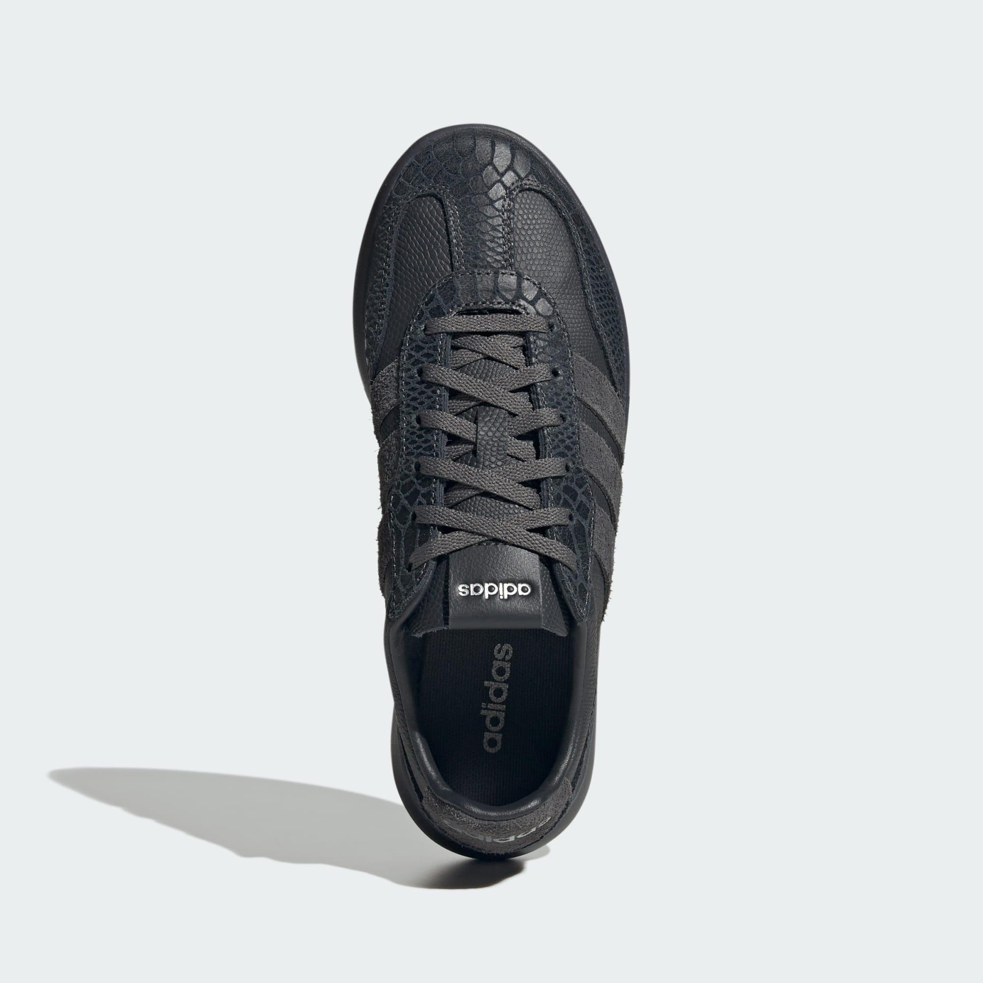 BARREDA DECODE SCHOENEN 2/7