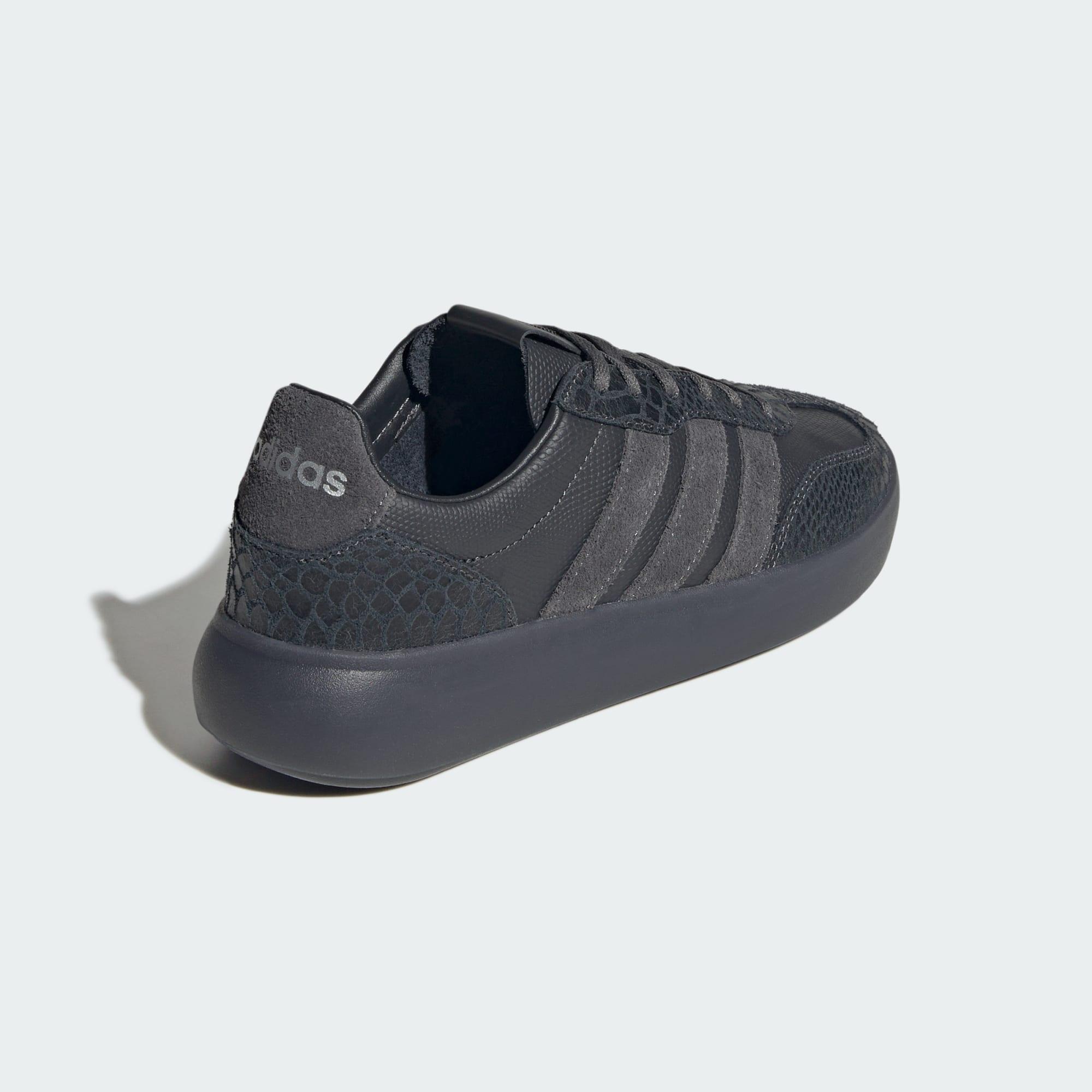 BARREDA DECODE SCHOENEN 7/7
