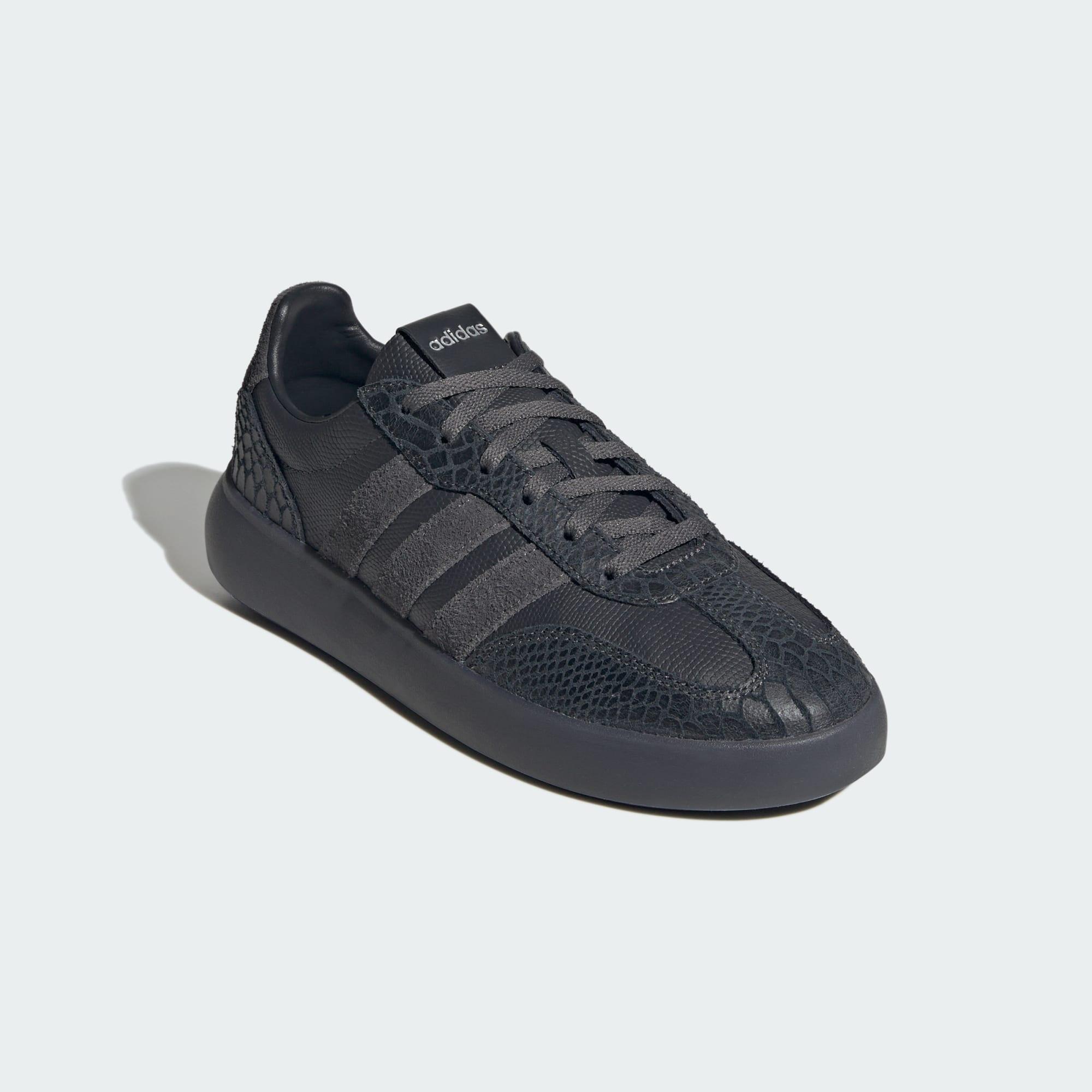 BARREDA DECODE SCHOENEN 4/7