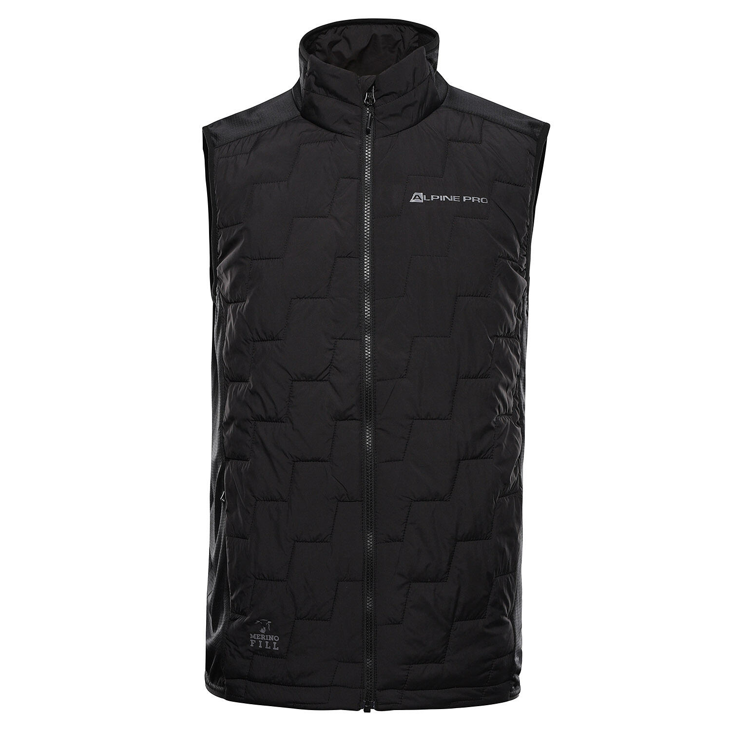 ALPINE PRO picture