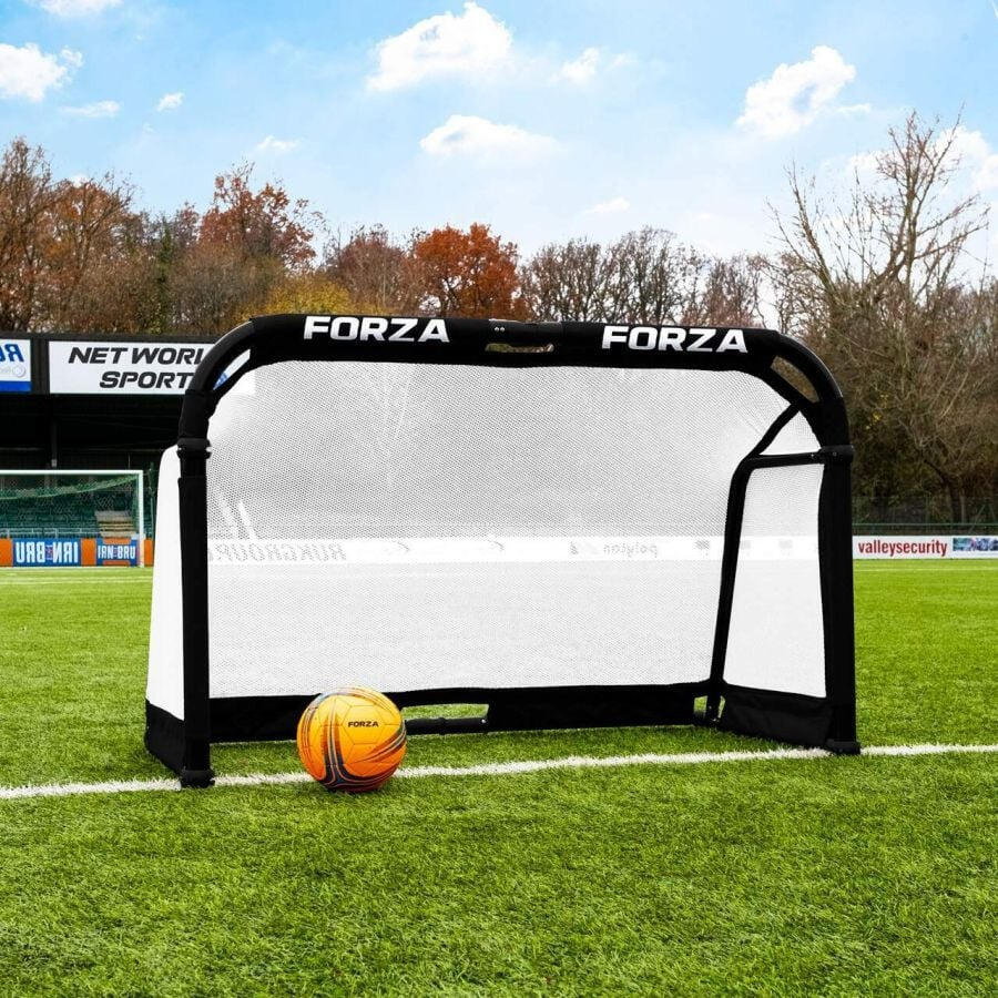FORZA picture