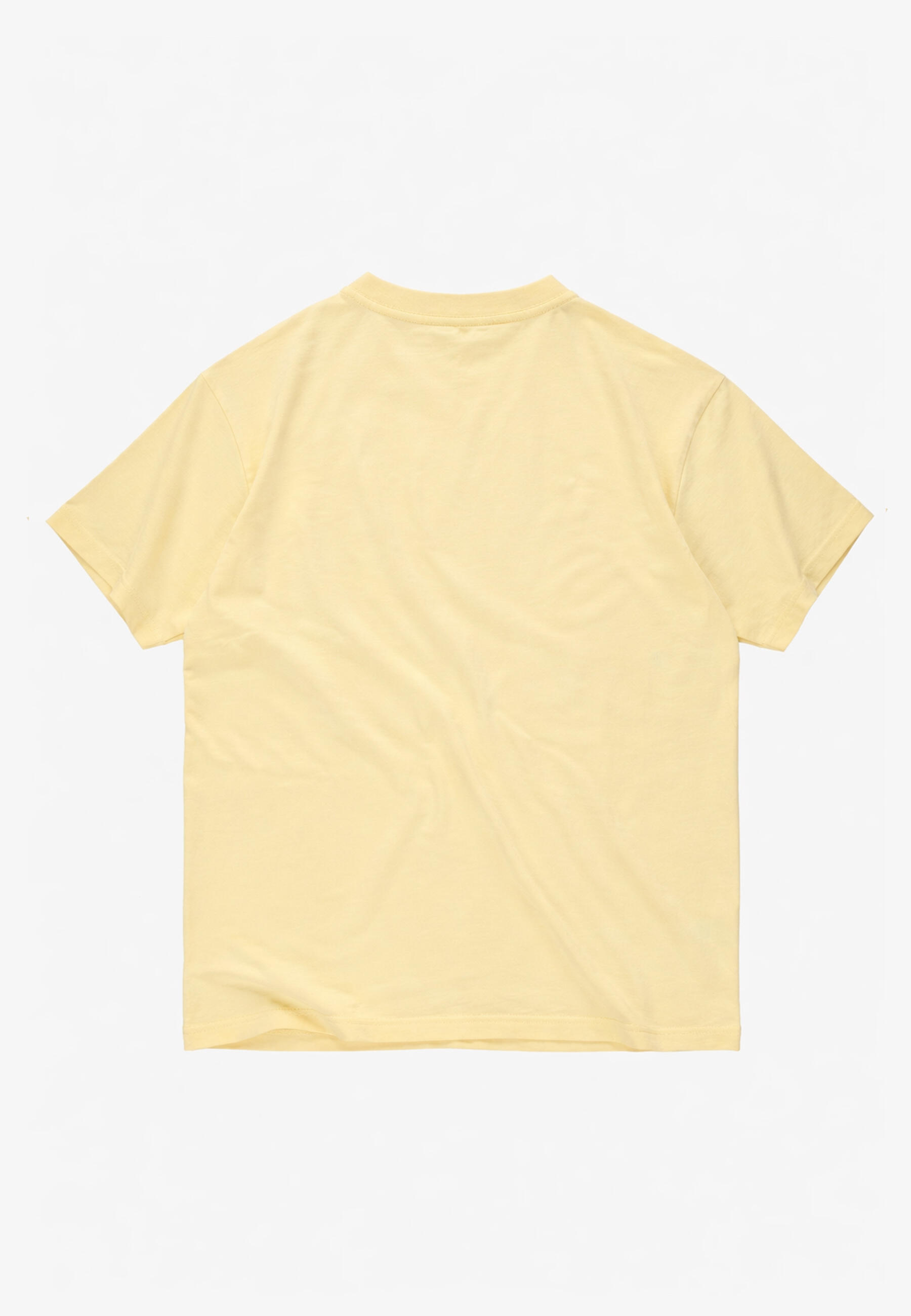 Koszulka sportowa męska Prosto Crack Box Logo z krótkim rękawem 5/6