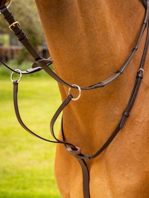 Martingale de course pour cheval LeMieux Arika 7/7