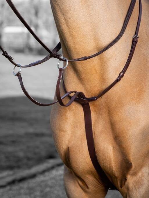 Martingale de course pour cheval LeMieux Arika 4/7