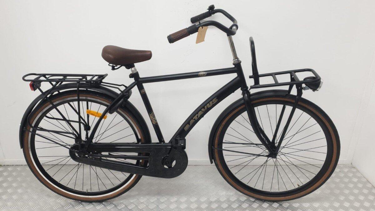 BATAVUS picture