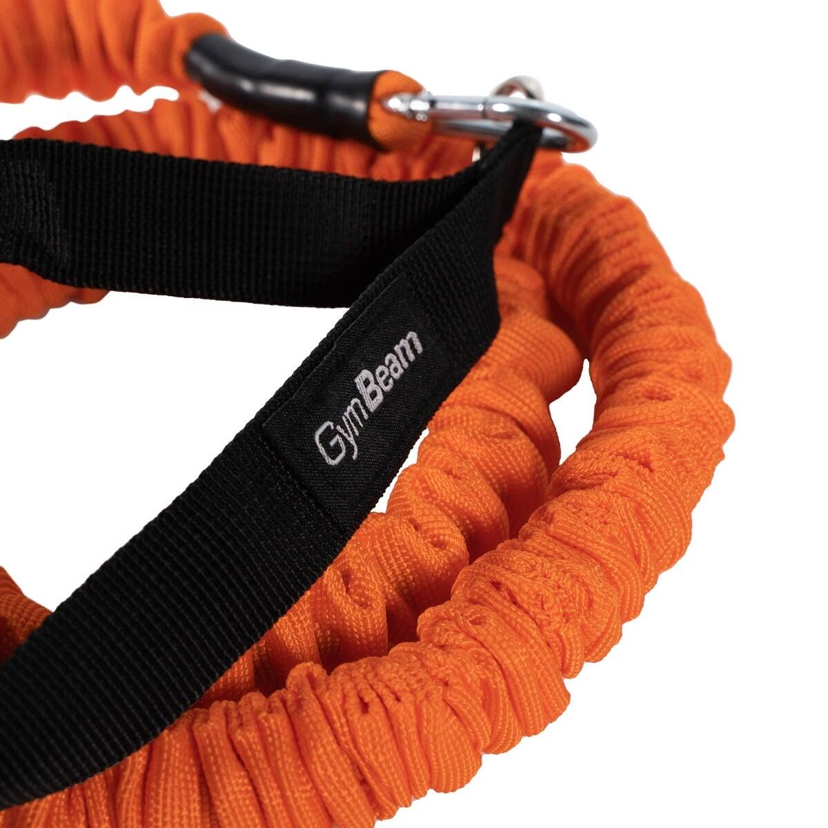 Fascia di Resistenza con Maniglie 10 kg 2/5