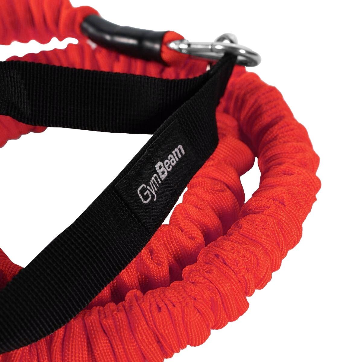 Fascia di Resistenza con Maniglie 30 kg 2/6