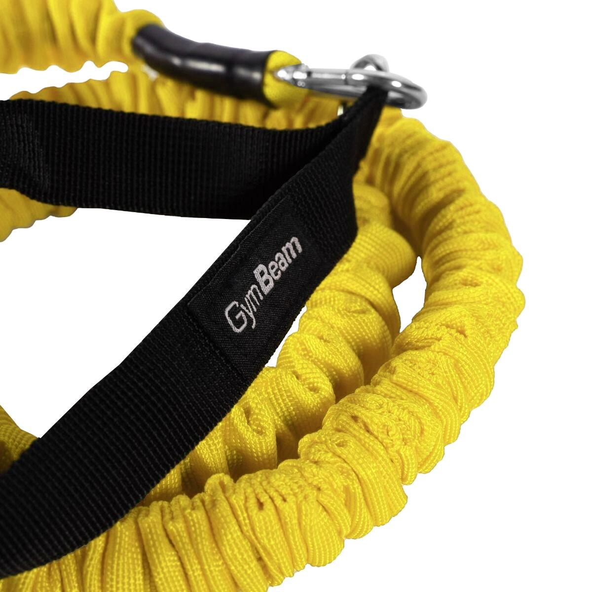 Fascia di Resistenza con Maniglie 20 kg 2/6