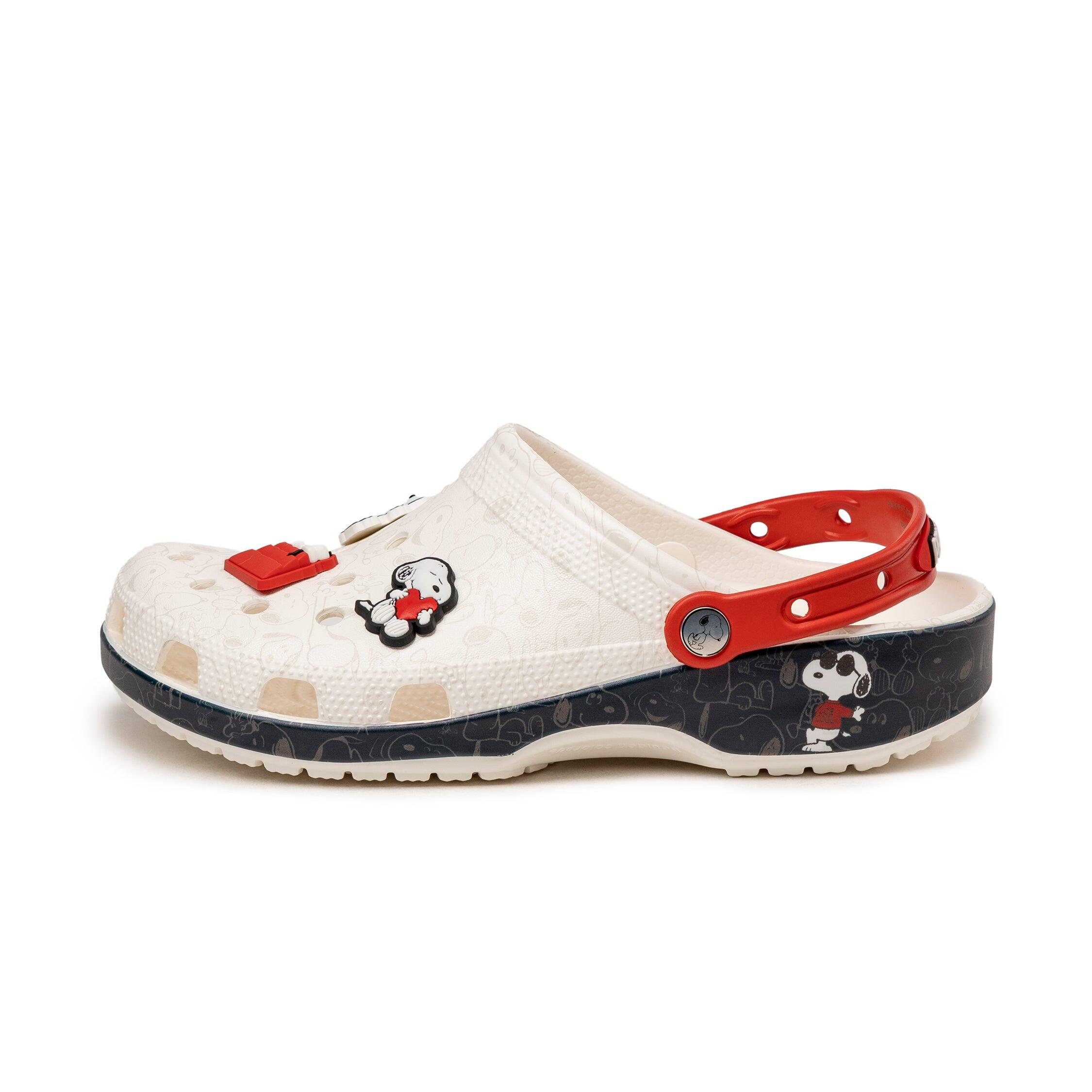 CROCS picture