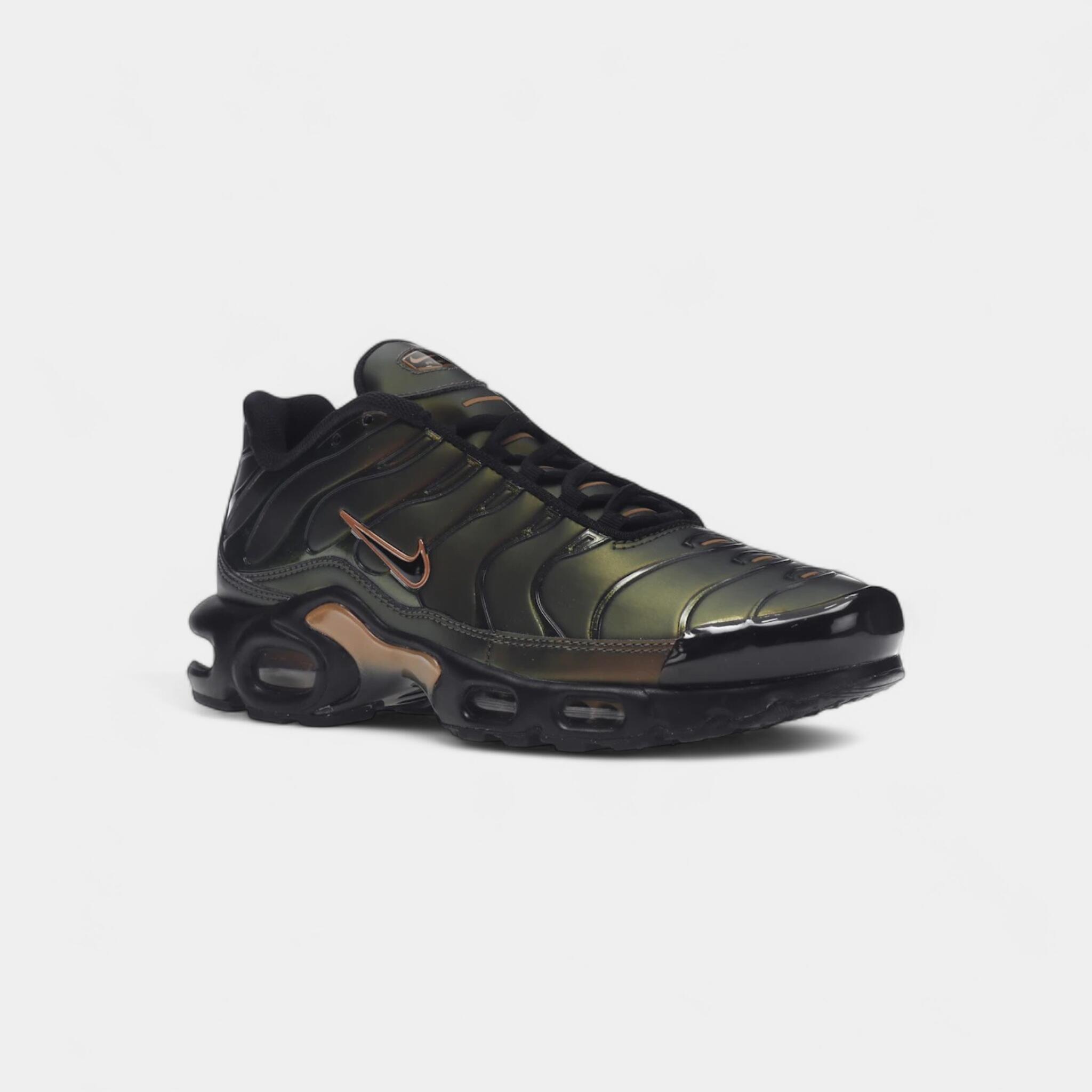 Nike Air Max Plus OG Scarab (2022) 2/4
