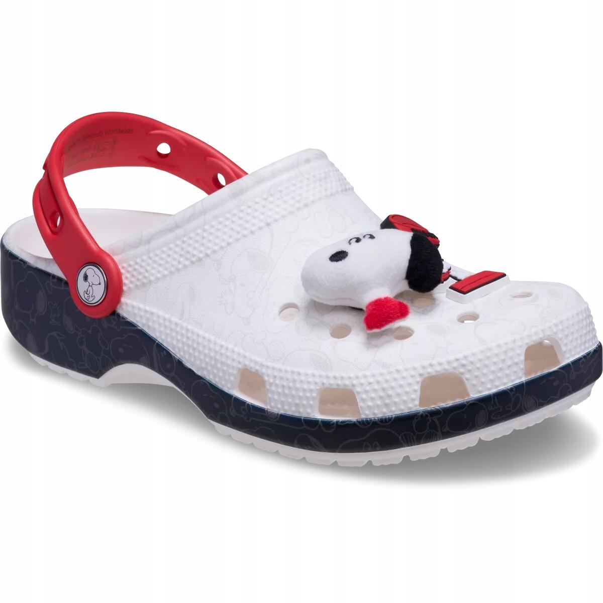 CROCS picture
