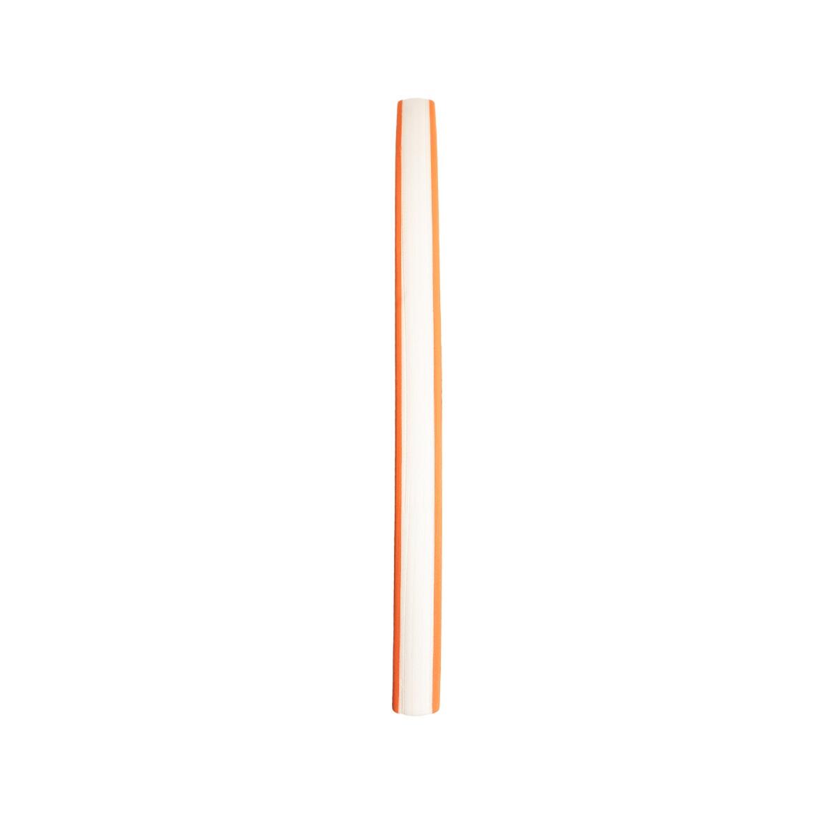 Tavoletta da Nuoto Orange 4/6