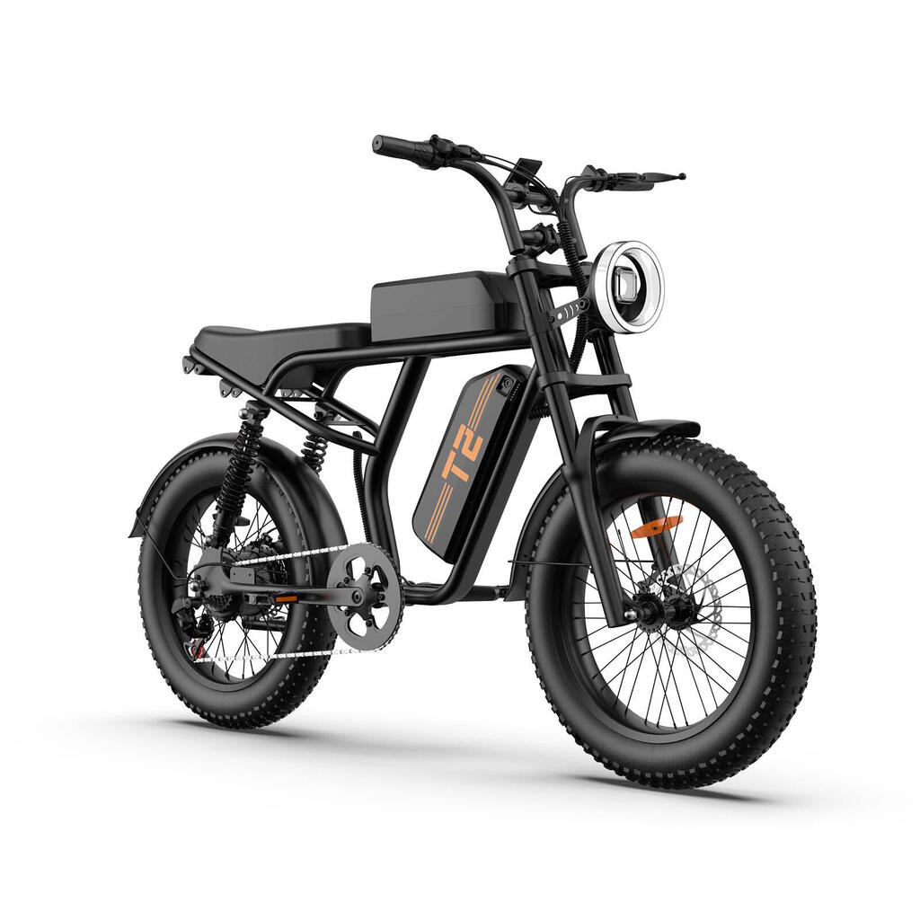 URLIFE T2  Electric Bike 250W Motor 48V 15.6Ah Battery