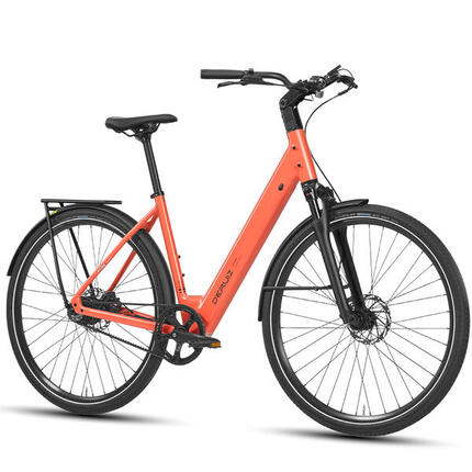 Vélo électrique Turmali Comfort 250W 36V 10Ah courroie GATES