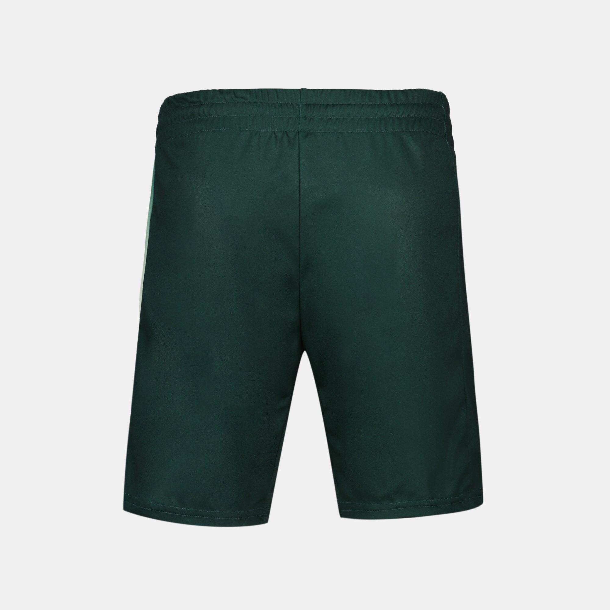 Le Coq Sportif Tennis Pro N°2 Herren Sportshorts Grün 3/5