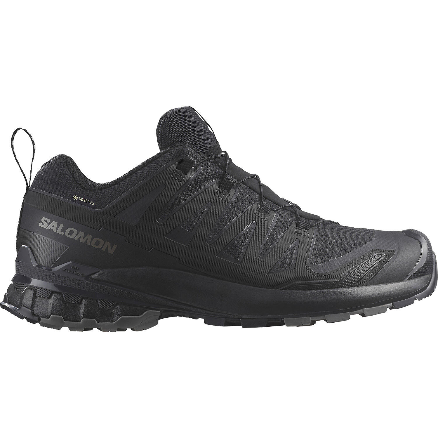 SALOMON picture