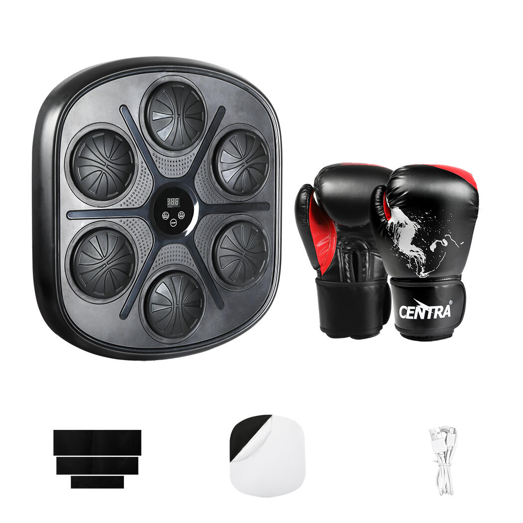 Centra Smart Black Boxing Target and Large Boxing Gloves