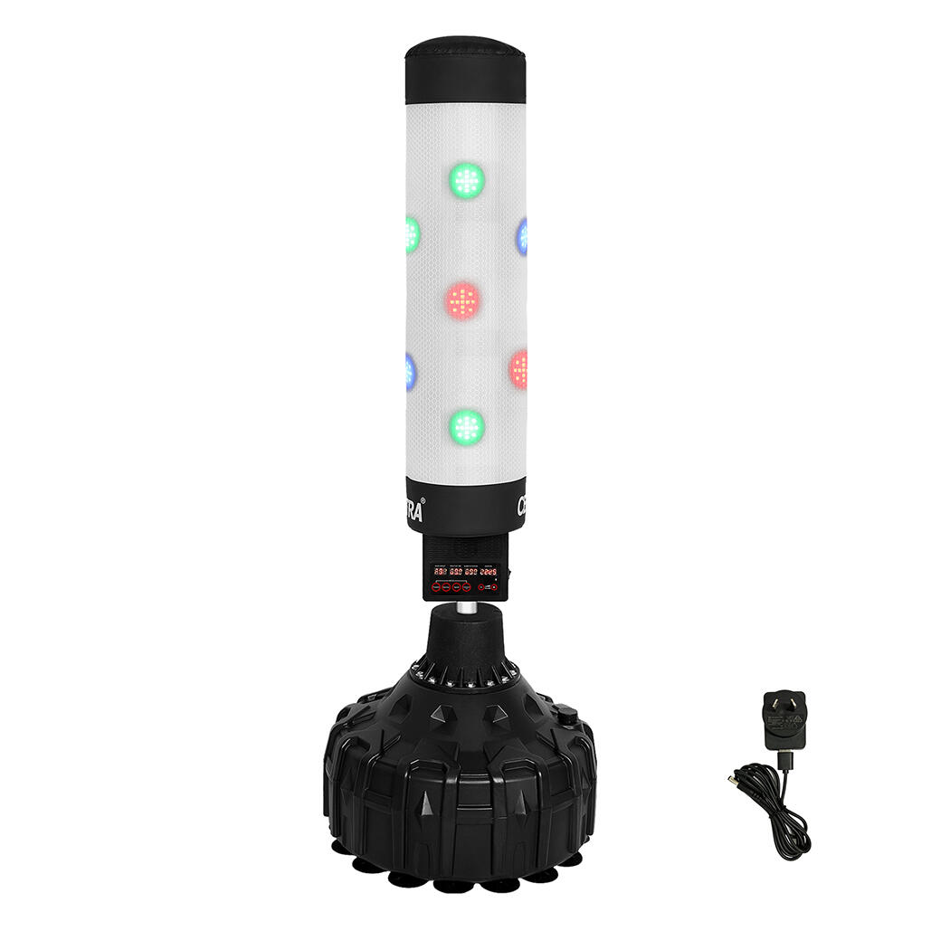 Centra 5V Electric Freestanding Punching Boxing Punching Bag