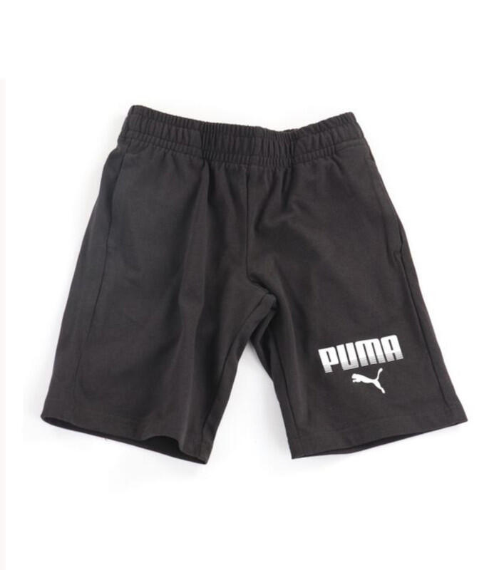 PUMA picture
