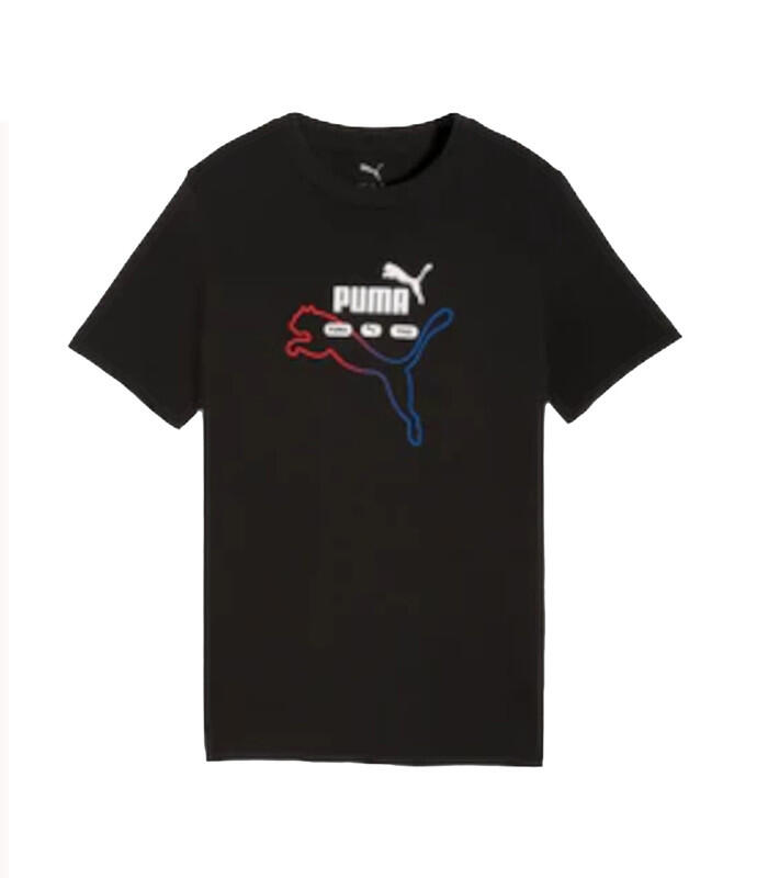 PUMA picture