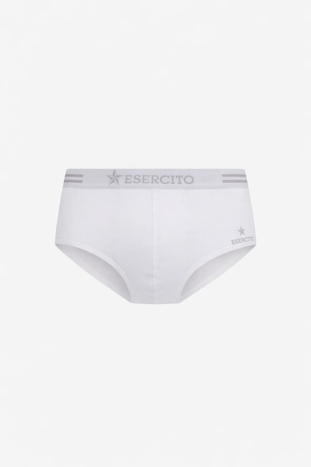 ESERCITO picture