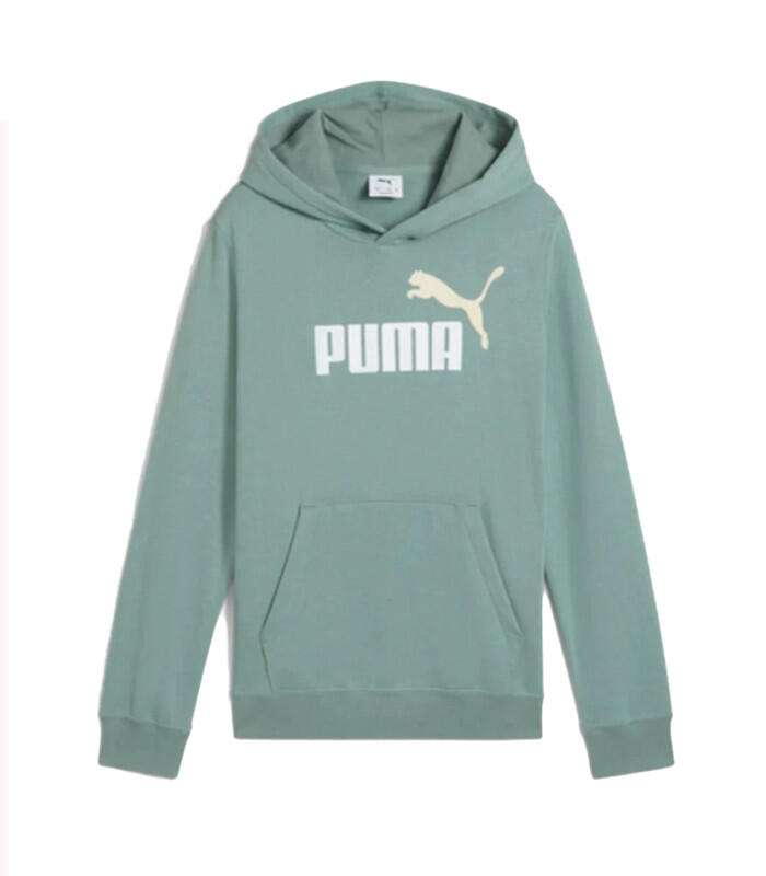 PUMA picture