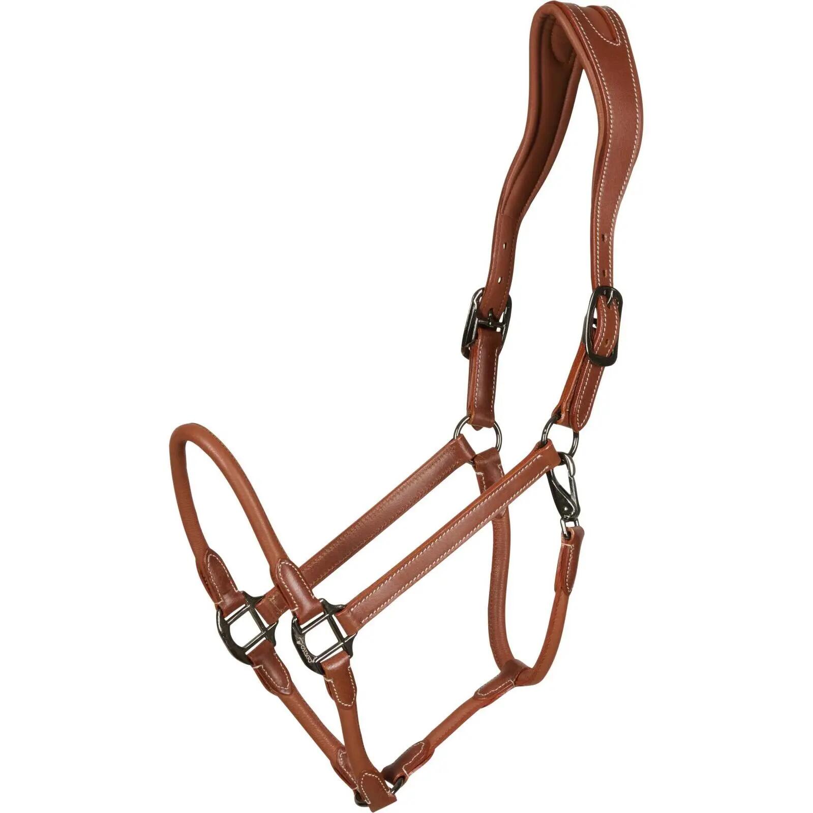 Cabestro de cuero para caballos Catago 2/5