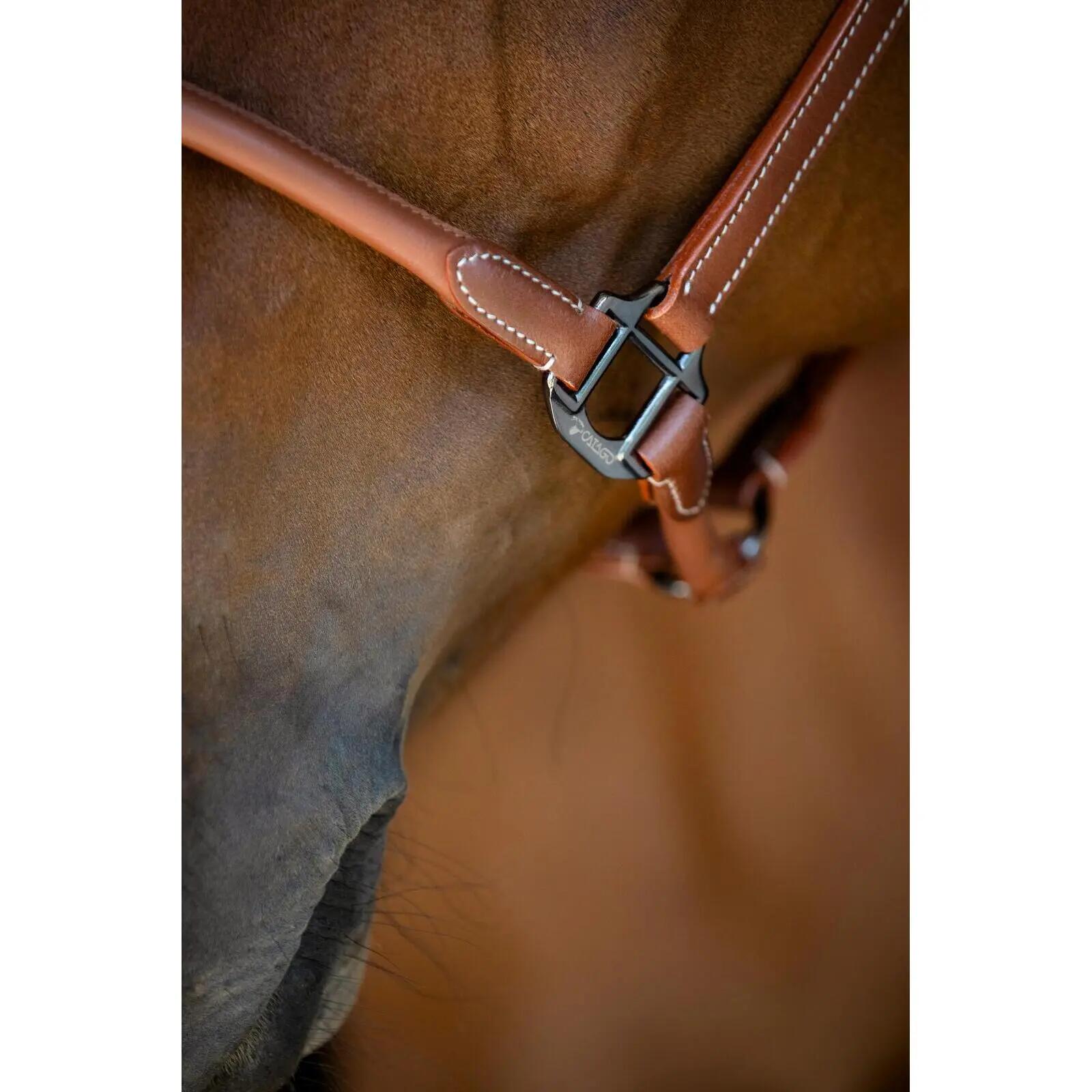 Cabestro de cuero para caballos Catago 5/5