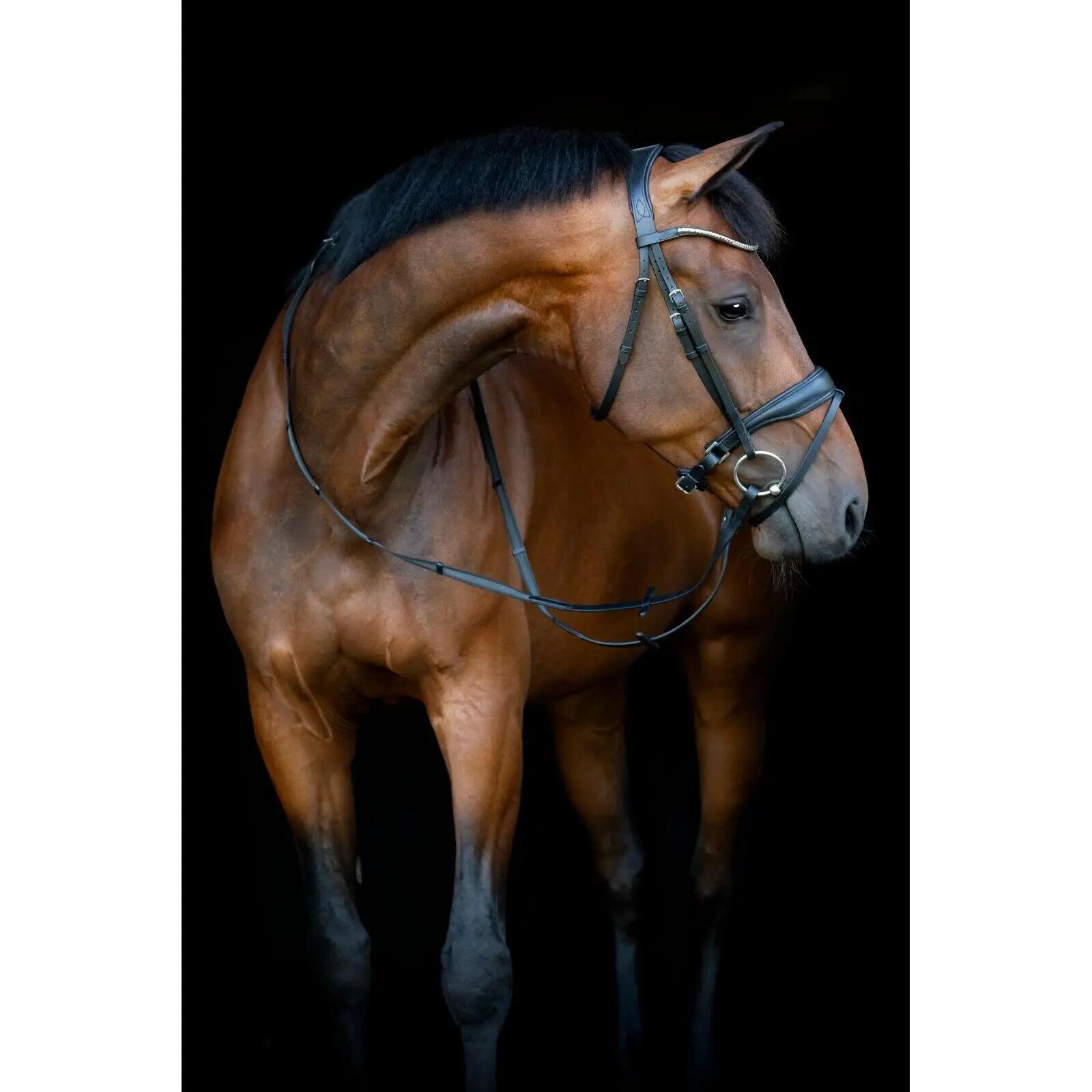 Cabezada combinada con muserola HorseGuard Cryll 26.1 W/PB 3/5