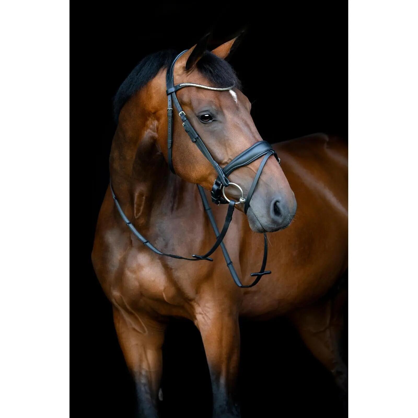 Cabezada combinada con muserola HorseGuard Cryll 26.1 W/PB 2/5