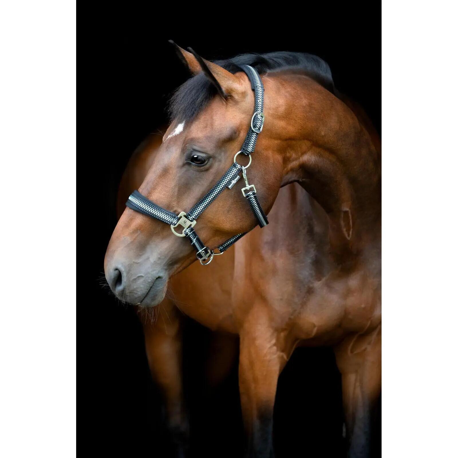 Licol pour cheval nylon HorseGuard Cole 4/5
