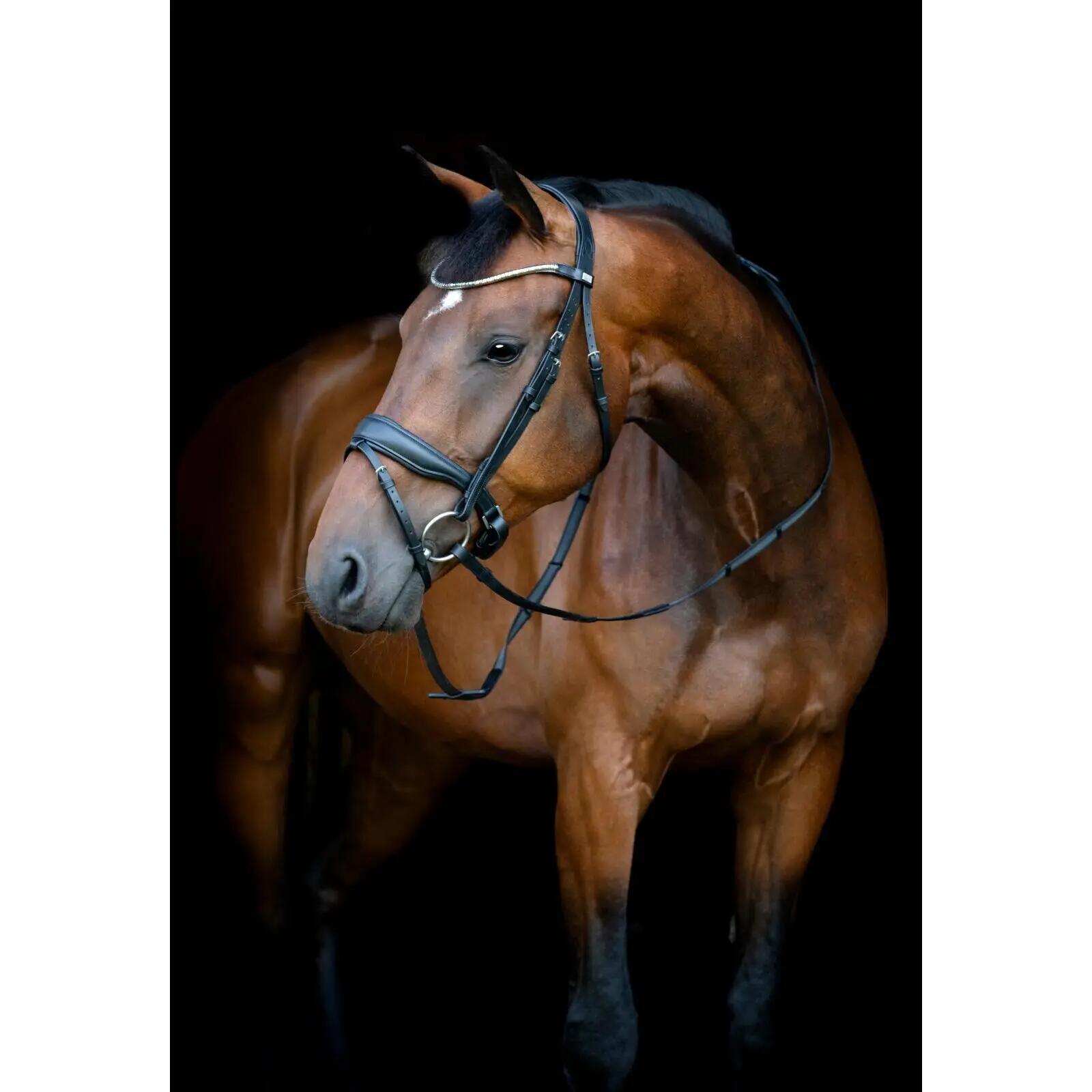 Cabezada combinada con muserola HorseGuard Cryll 26.1 W/PB 4/5