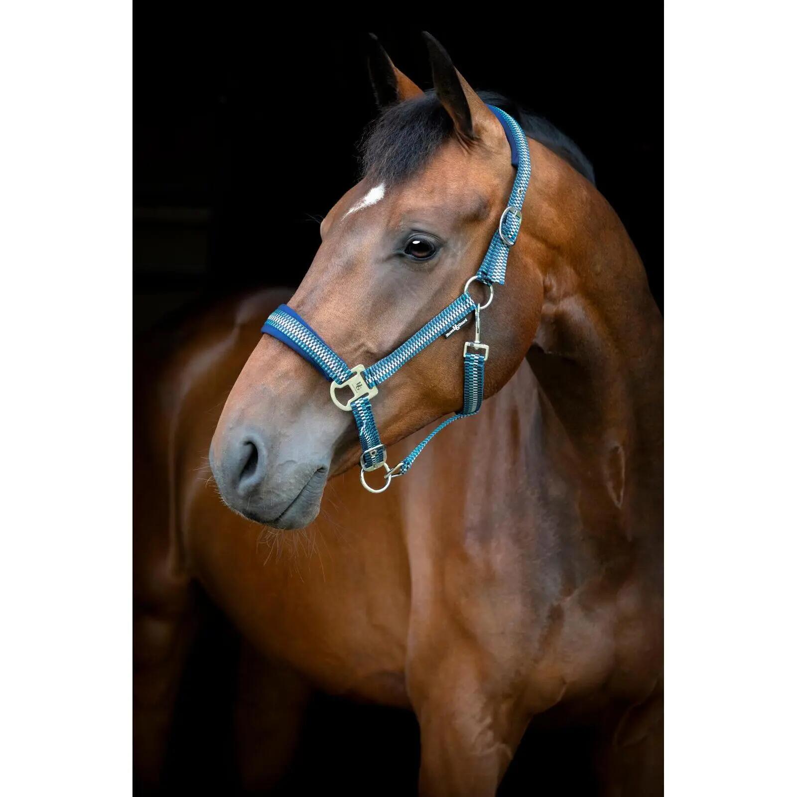 Licol pour cheval nylon HorseGuard Cole 2/4