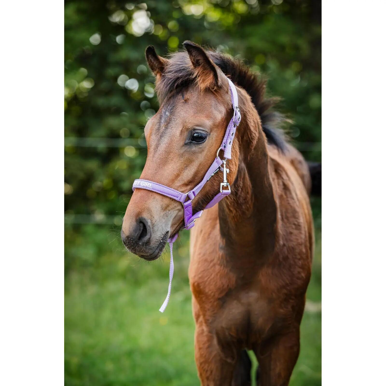 Cavezza HorseGuard Malva 2/3