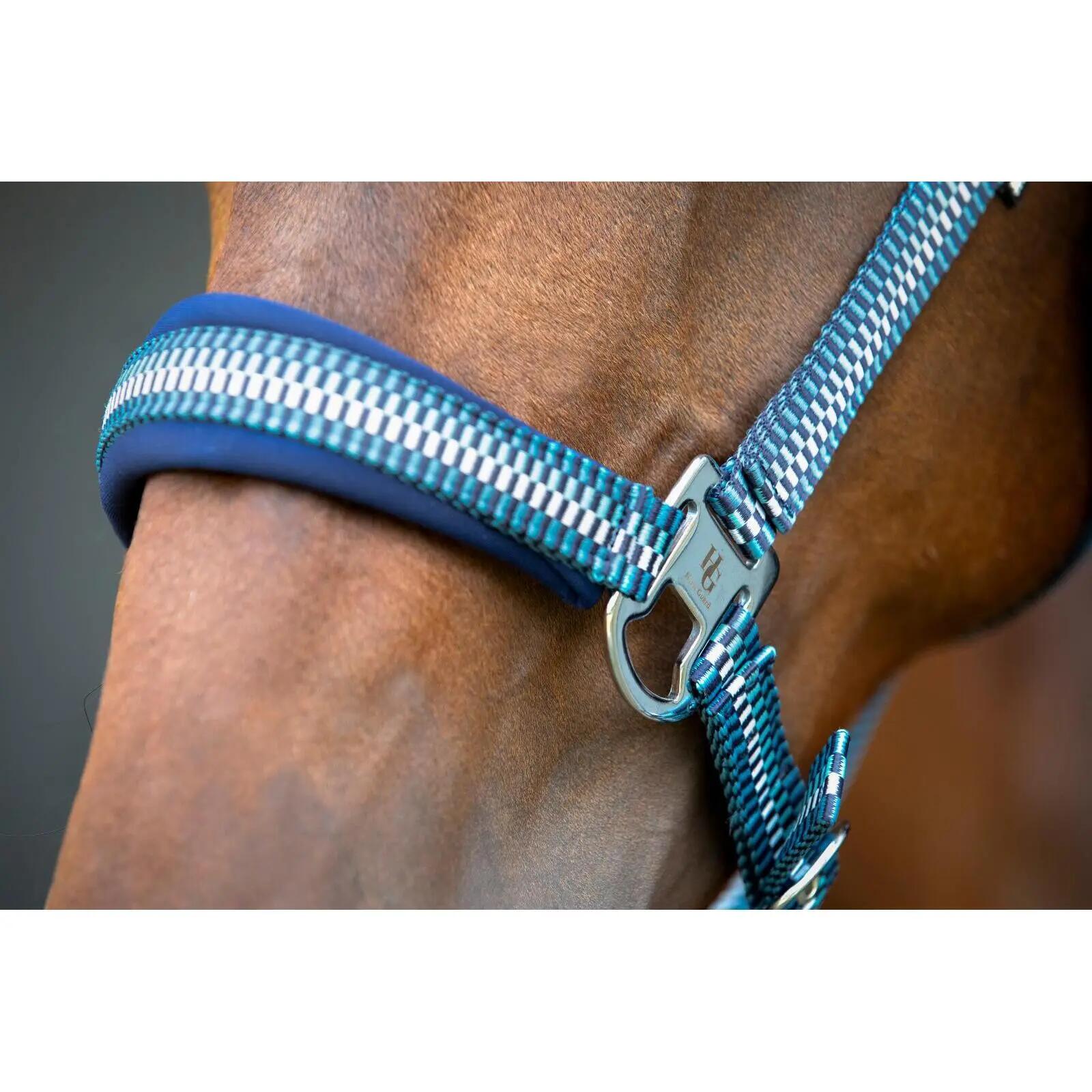 Licol pour cheval nylon HorseGuard Cole 4/4