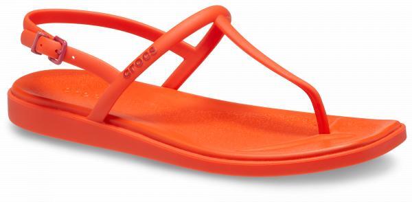 CROCS picture