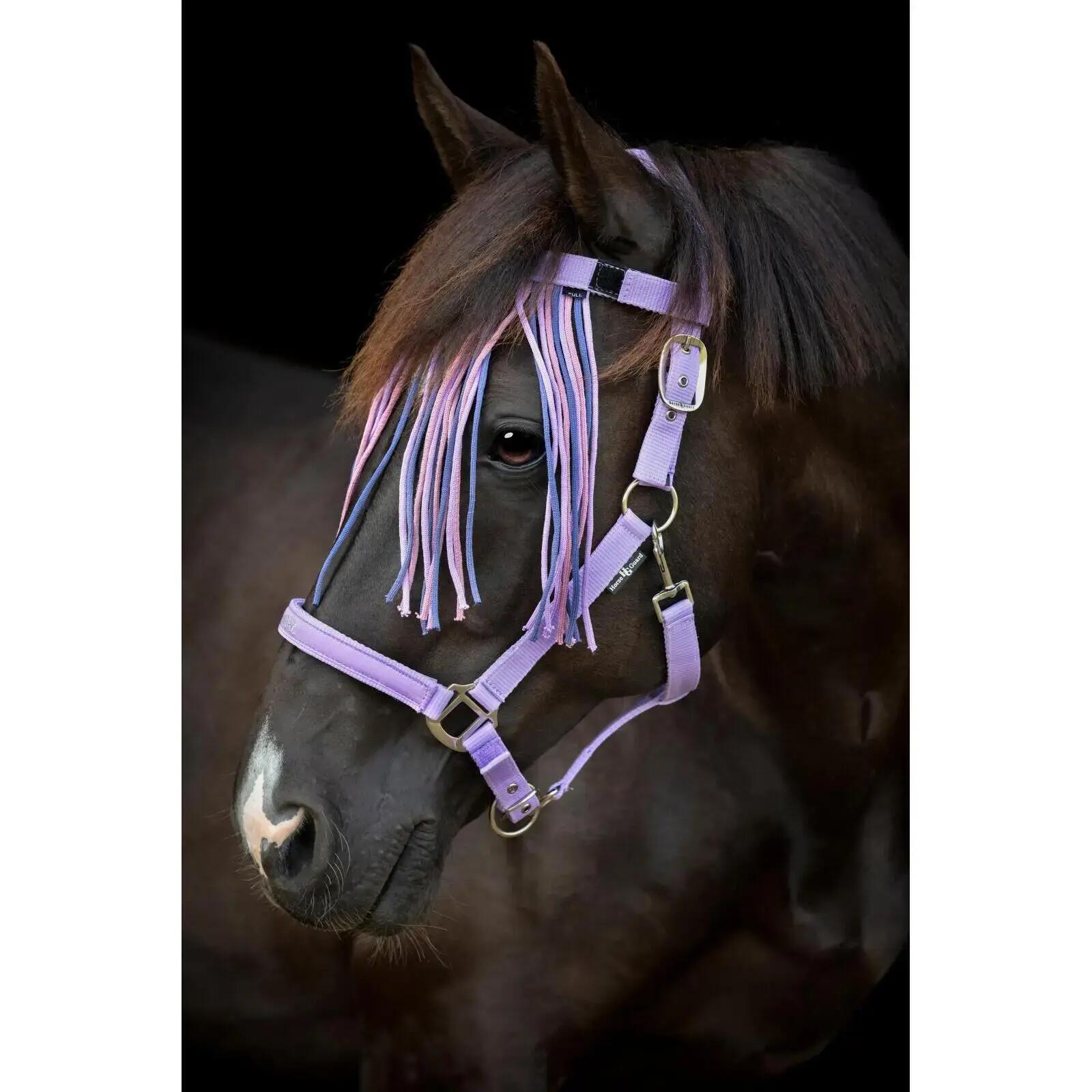 Frontal anti-mouche pour cheval HorseGuard Malva 2/4