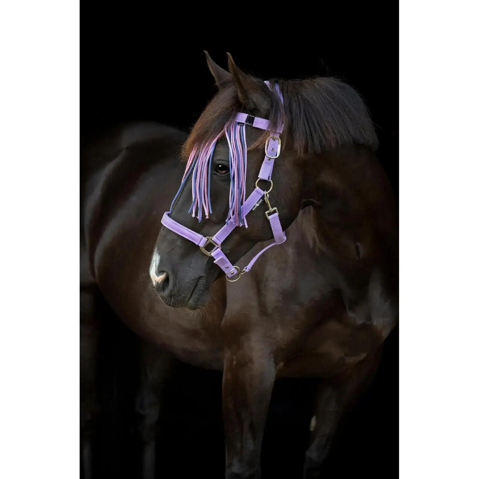 Frontal anti-mouche pour cheval HorseGuard Malva 3/4