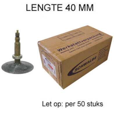 Dętka Schwalbe SV17 28