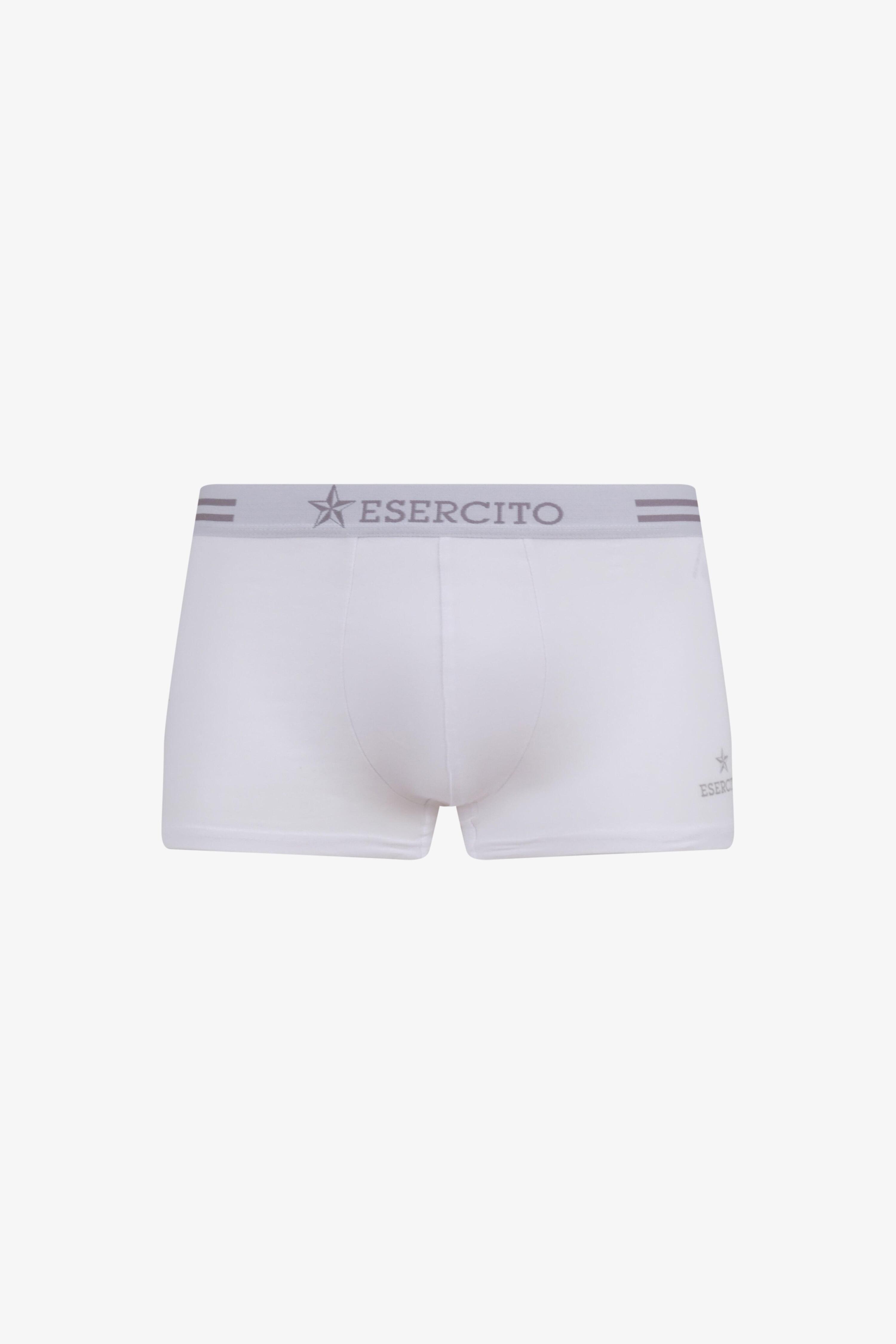 ESERCITO picture