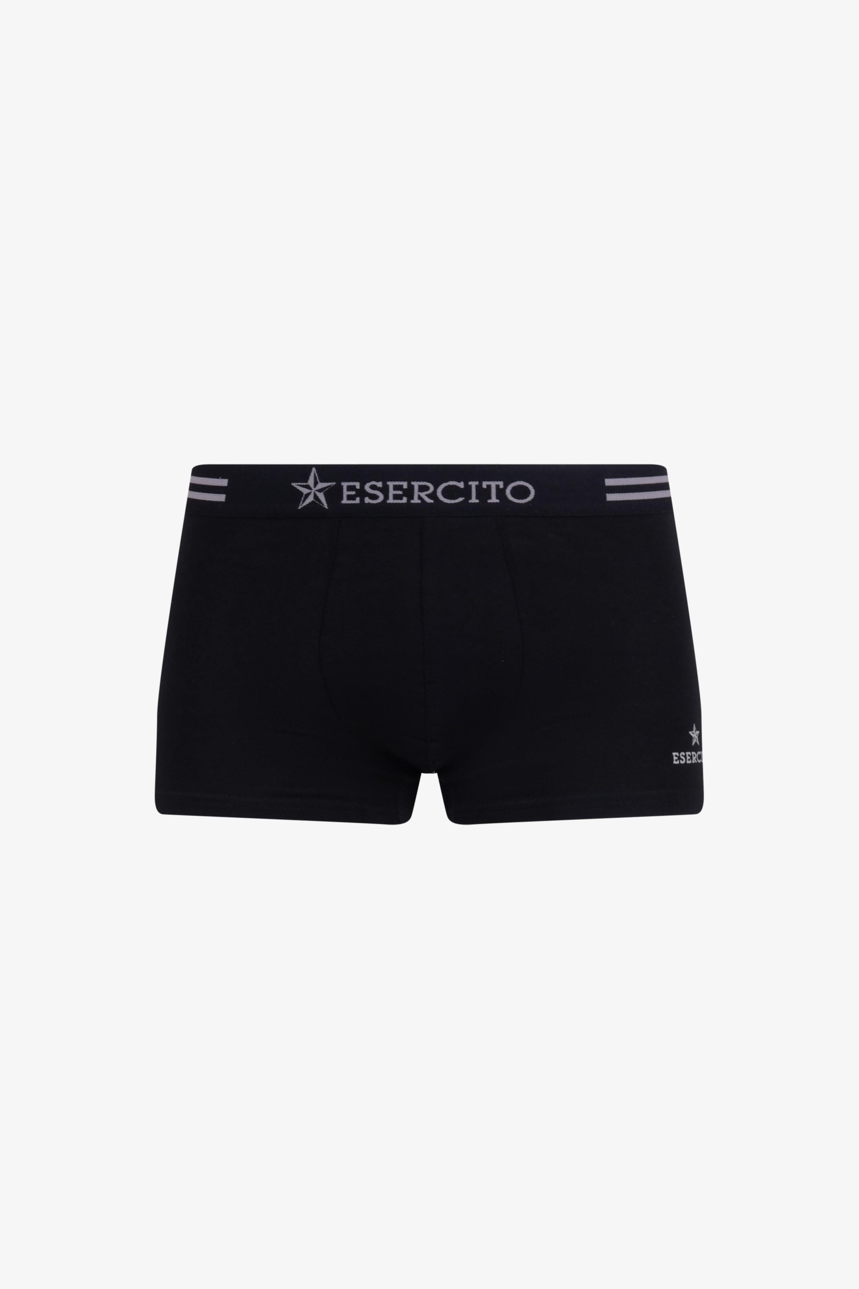 ESERCITO picture