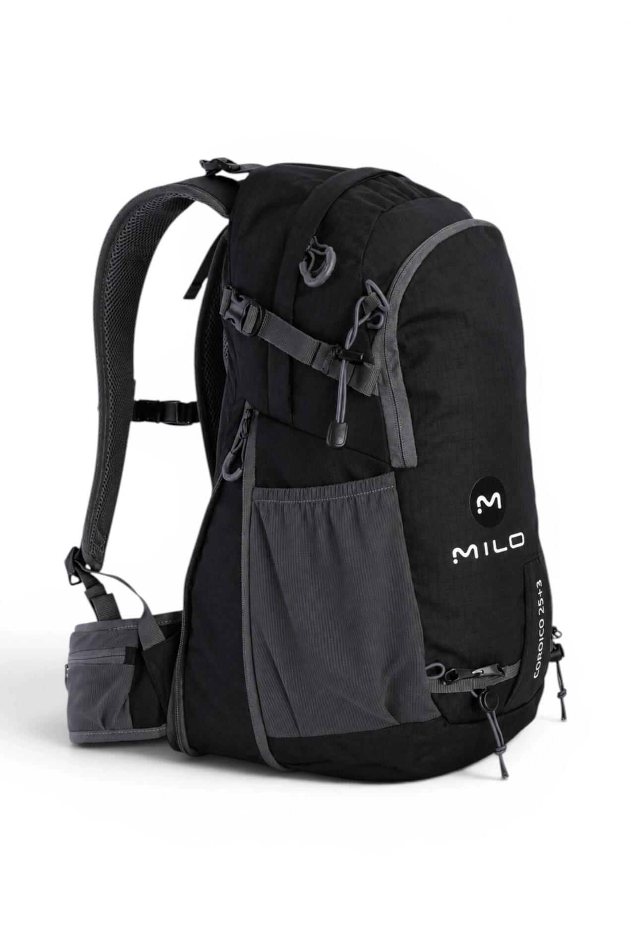MILO picture